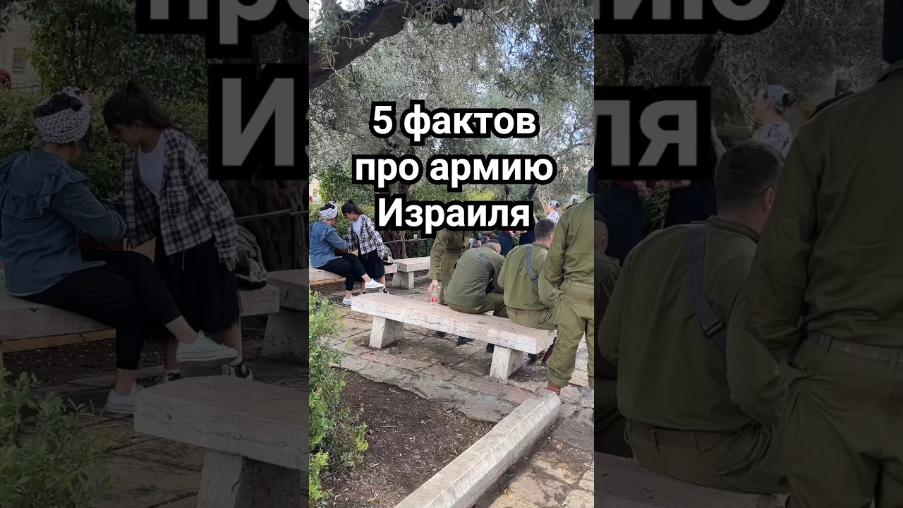 5 фактов про армию Израиля #израиль #жизньвизраиле #цахал
