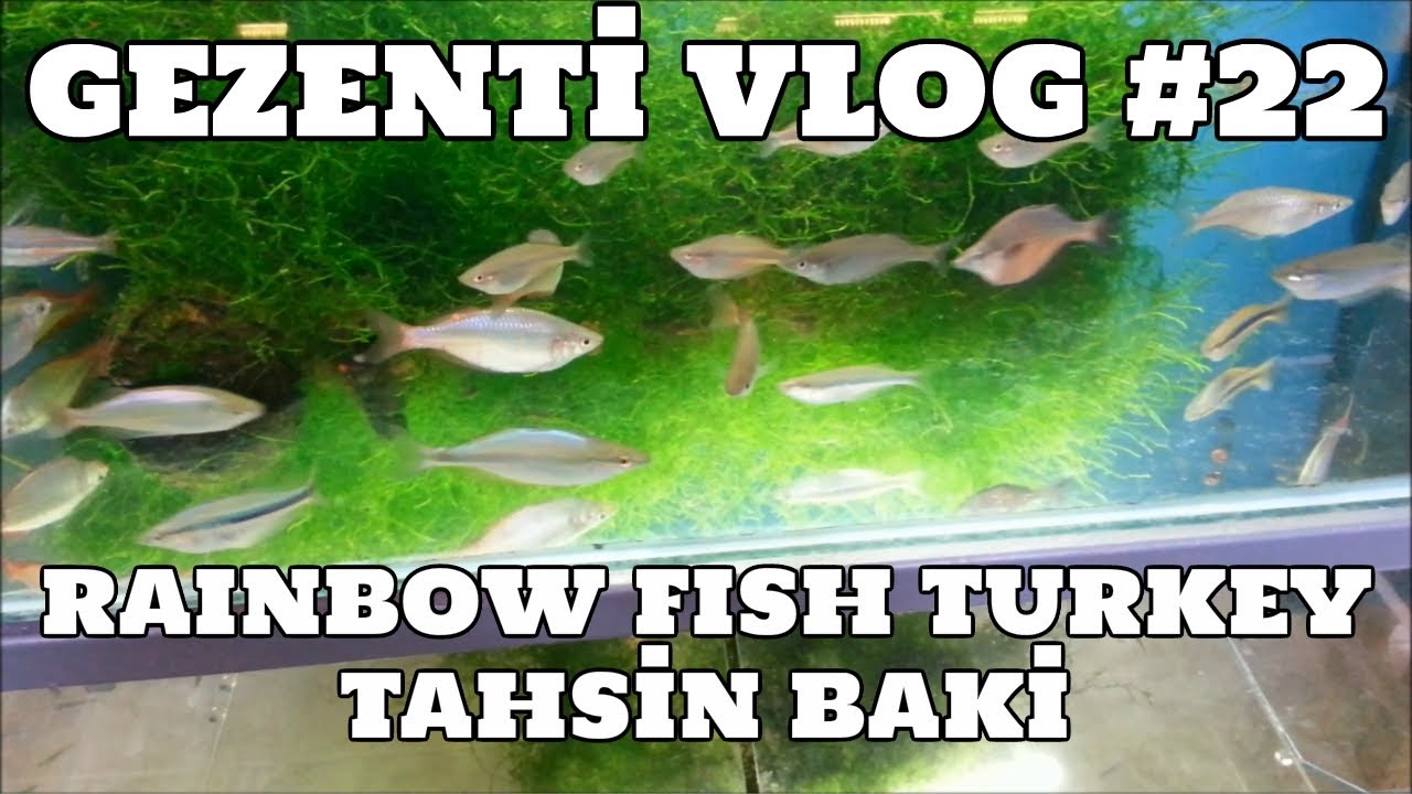 Hobihanem - Gezenti Vlog #22 (Rainbow Fish Turkey) [Tahsin Baki] {Fethiye} [28.05.2017]
