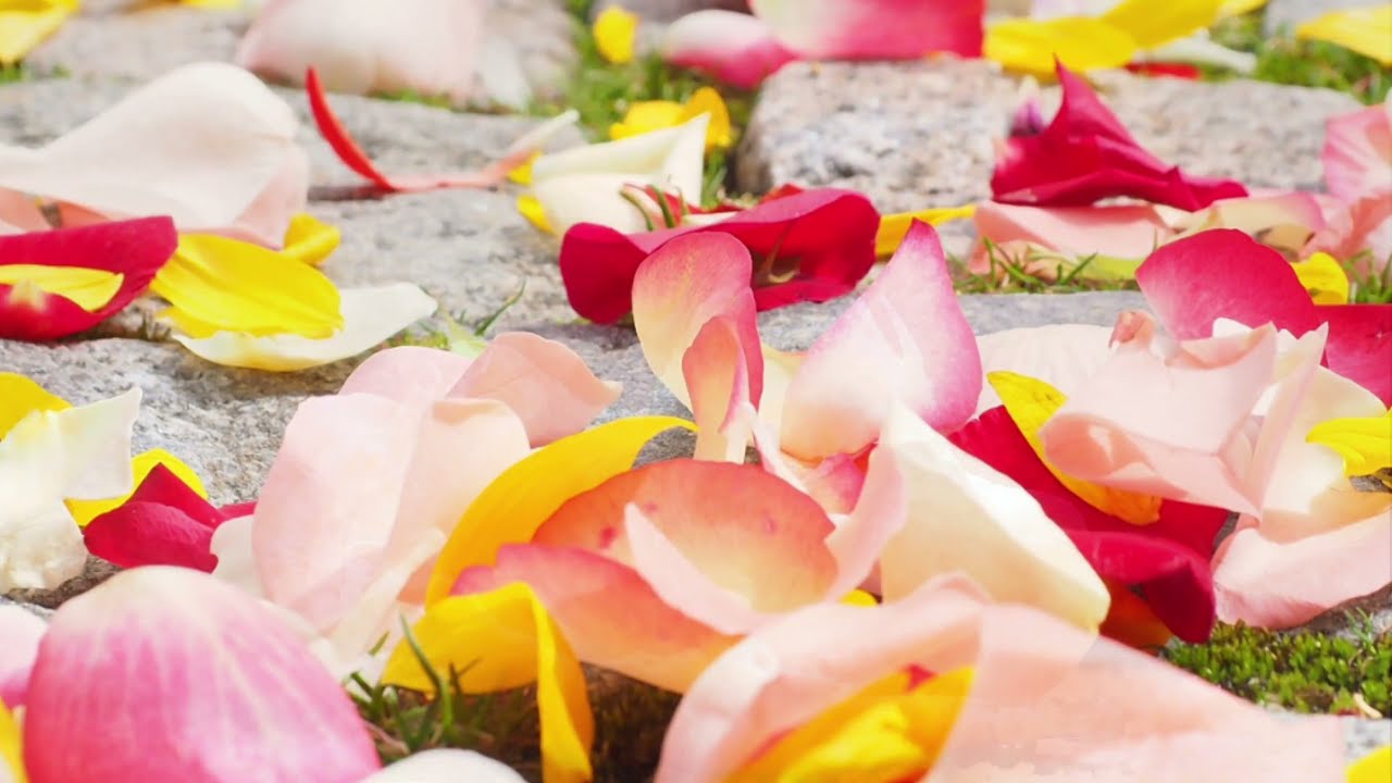 Preparazione di un profumo con ingredienti naturali