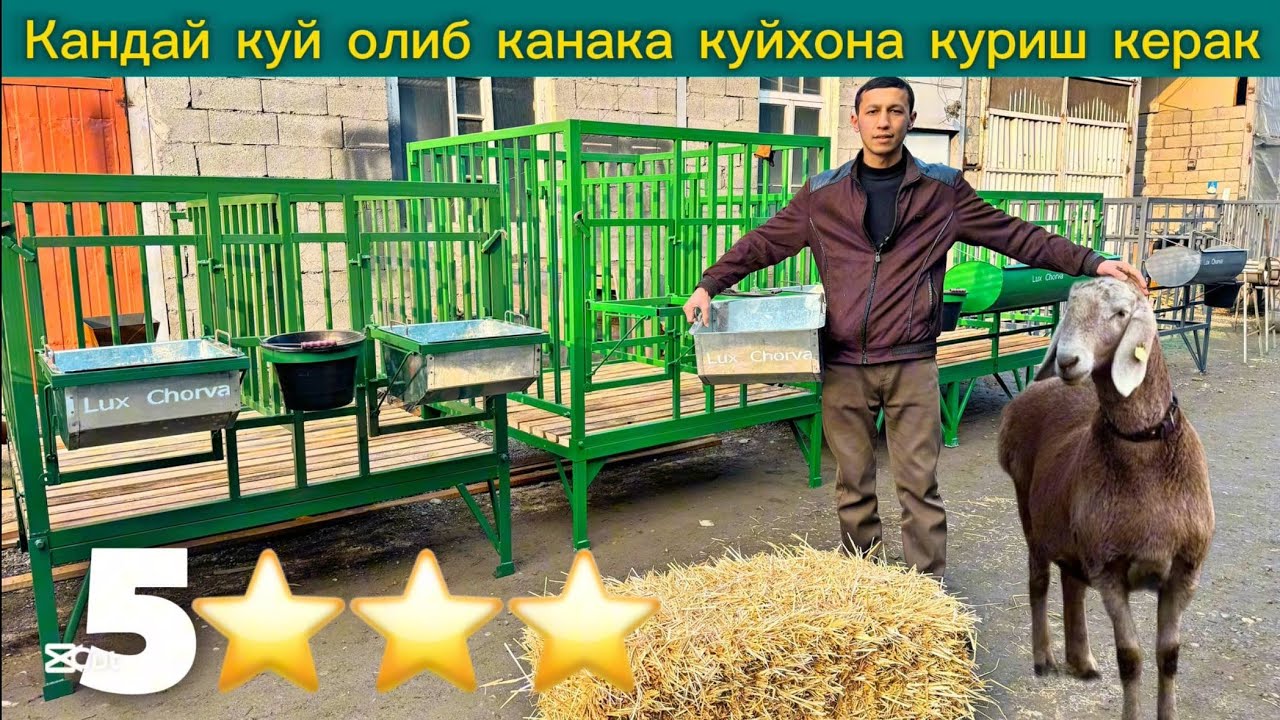 UZB da YANGLIK | Qo'y boqish Uchun 5 yulduzli Qo'y Kataklar | Qo'y Qo'ra Narxlari | Куй Катак 