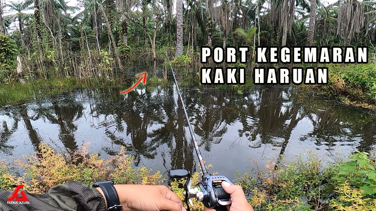 Casting Haruan Sawit Banjir | Exp Tuah & Jebat Beraksi !!!