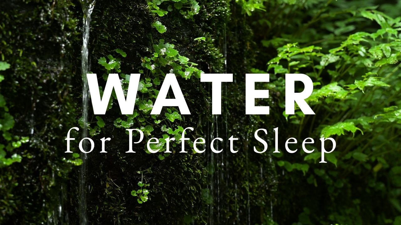 The Most Relaxing Water Sounds - 10 Hours