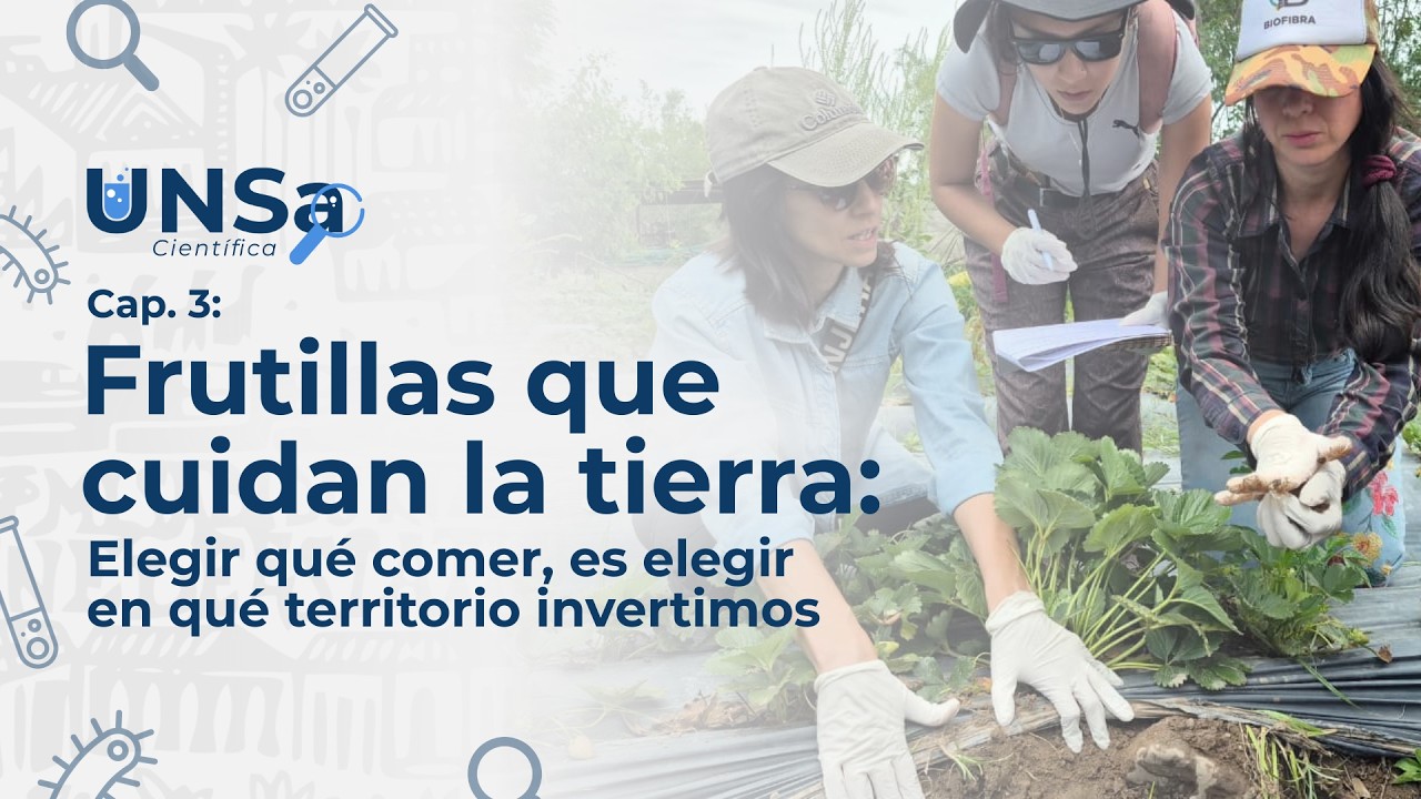  FRUTILLAS QUE CUIDAN LA TIERRA UNSa Científica.