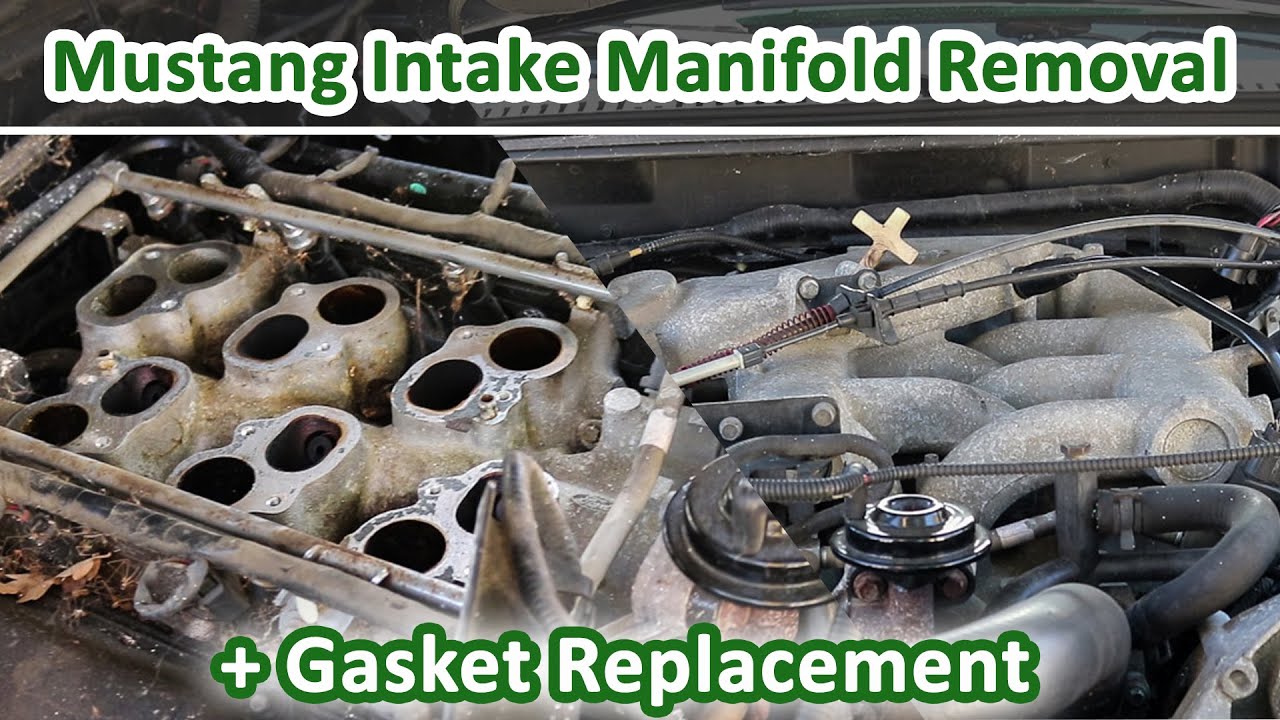How To Remove Upper Intake Manifold & Gasket Replacement on 1999-2004 V6 3.8L Ford Mustang