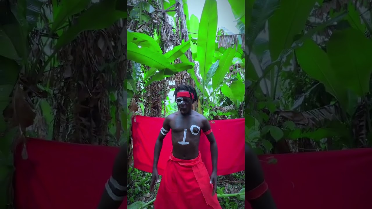 Kano kalibulala pro