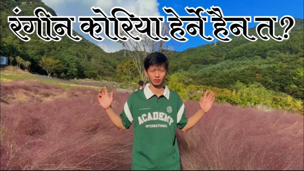 कोरियाको रंगीन र हरियाली ठाउँ 🌿 नेपालमा पनि यत्तिको बनाउन कोशिश गरौँ 🇳🇵