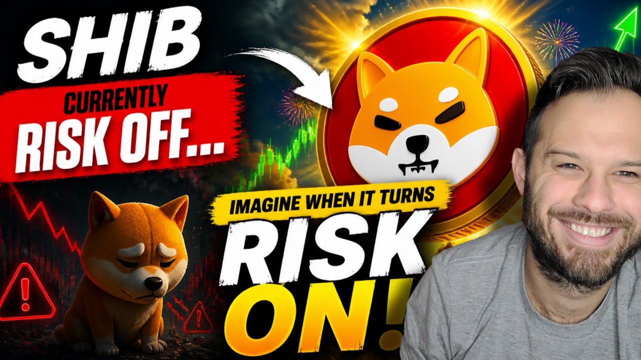 Shiba Inu Coin | SHIB сейчас в режиме &laquo;риск-офф&raquo;... Представьте, что будет, когда начнется &laquo;риск-...
