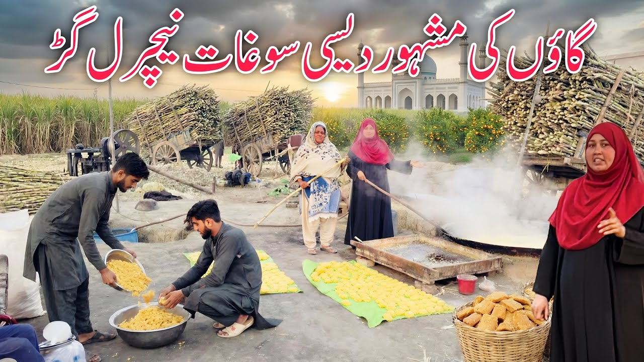 Sardion Ki Mashoor Soghat Gurh || Village Famous Product || Daily Life Style || Mehak Vlogs