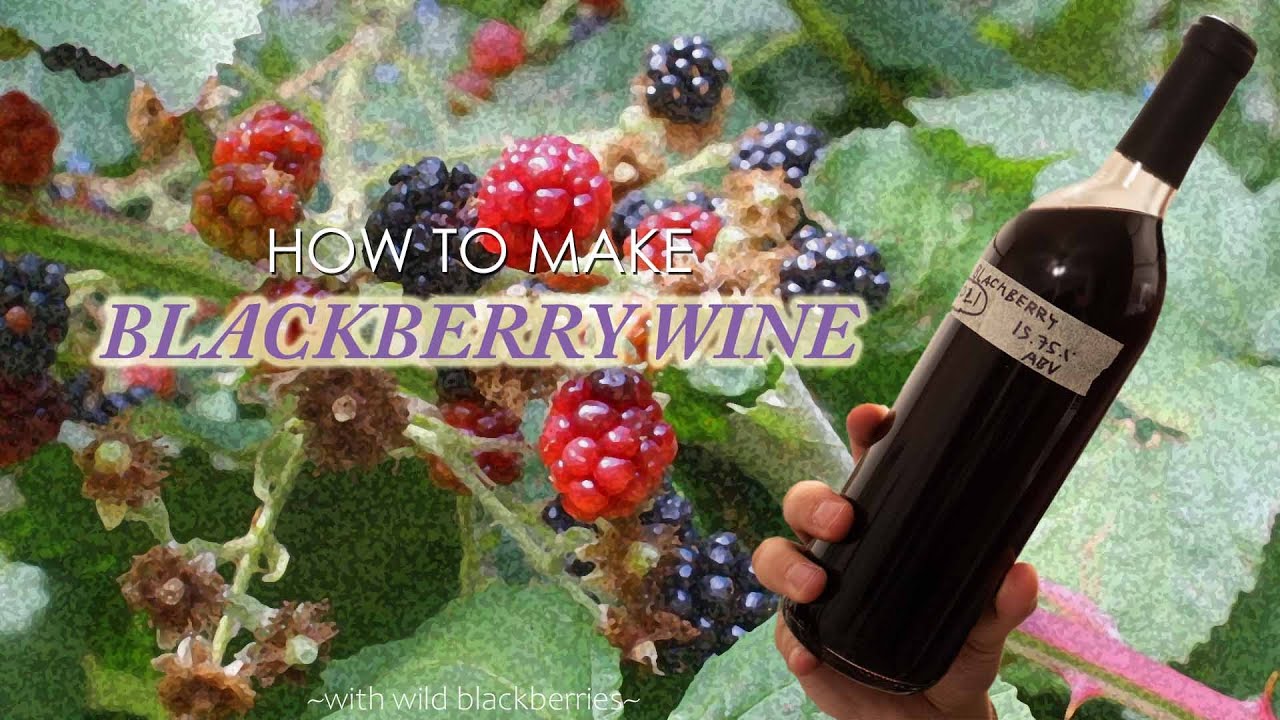 How to Make Blackberry Wine