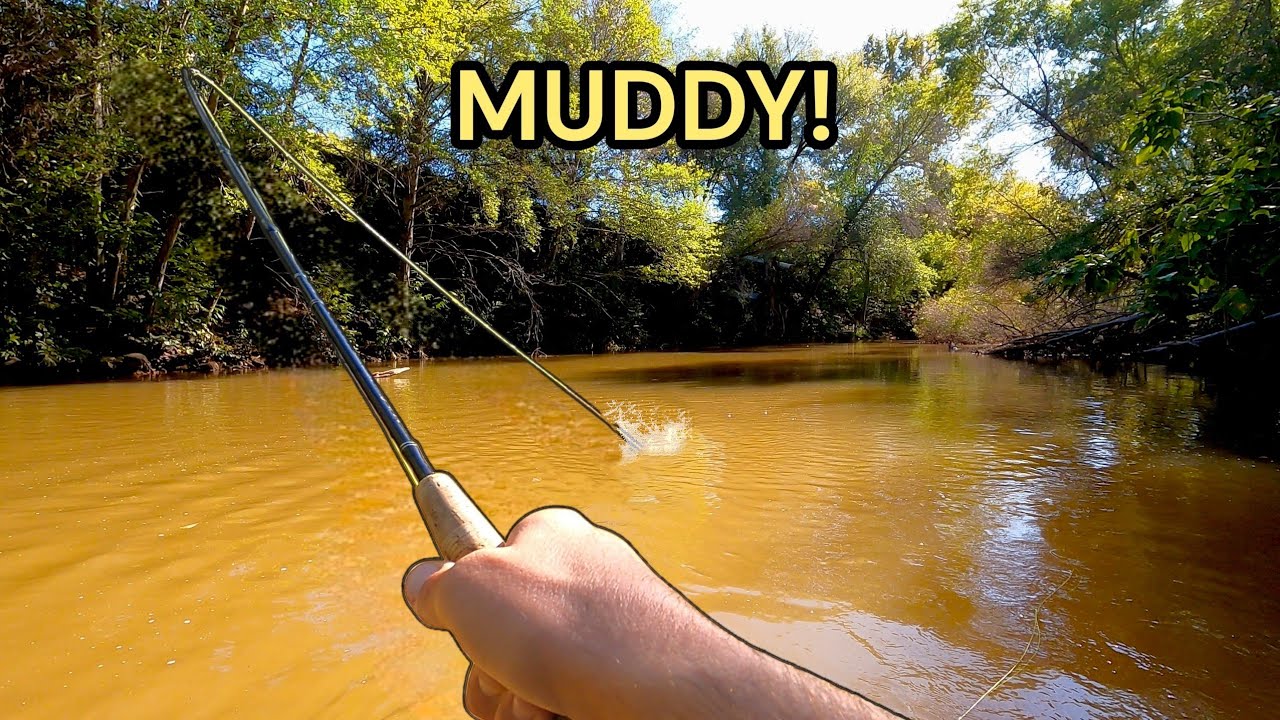 This Blown-Out, Muddy Creek Was LOADED With Fish
