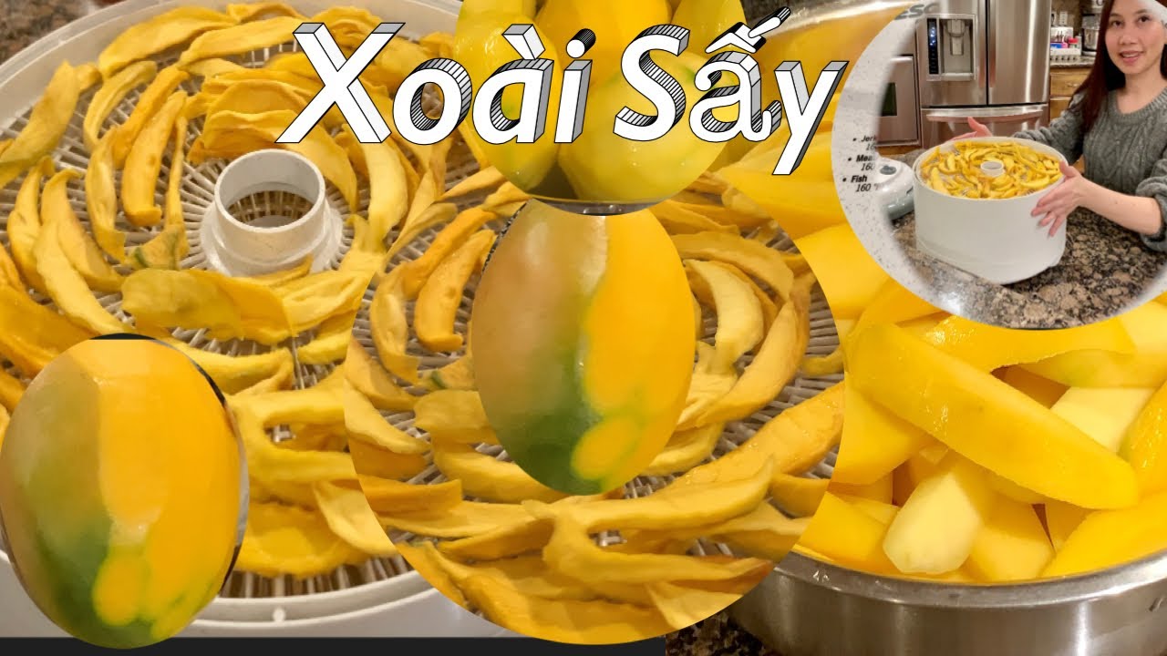 Xoài Sấy Dẻo Bằng Mấy Sấy NESCO Ăn Là Ghiền - Dehydrating Mango - Taytor Recipes - Cuộc Sống Mỹ