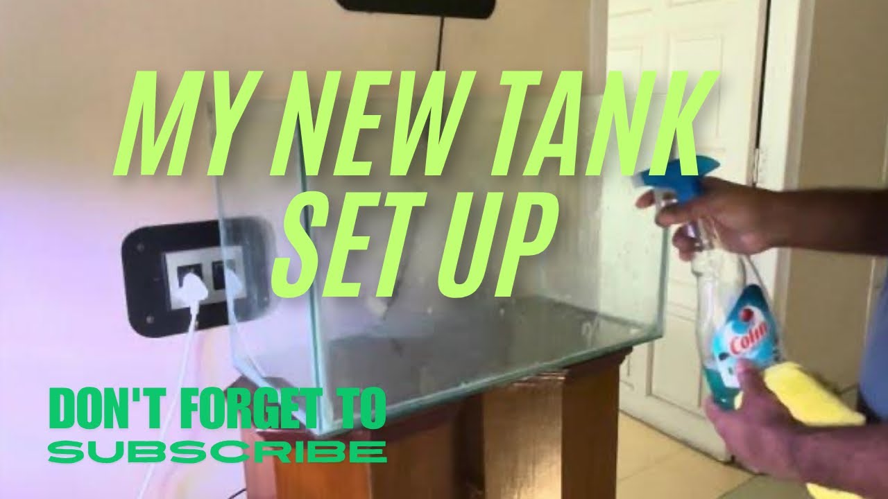 New Tank Setup Angle fish tank #aquarium #aquascapegallery #fishtank #fishkeepinghobby #fishaquarium