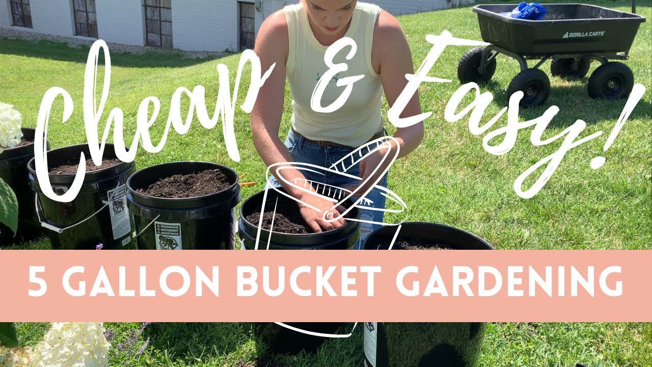 5 Gallon Bucket Gardening! // Cheap & Easy Containers // Crystal Does