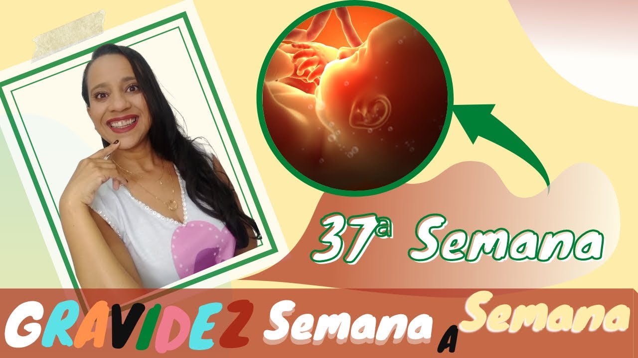 37 Semanas de Gravidez/ Sintomas da Mamãe e Desenvolvimento do Bebê