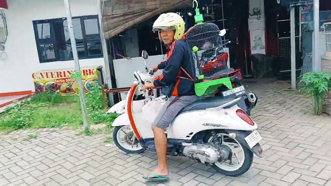 SPESIAL AKHIR RAMADHAN LOSTT TIADA HENTI NYA MELUNCUR SANGKAR DAN BURUNG
