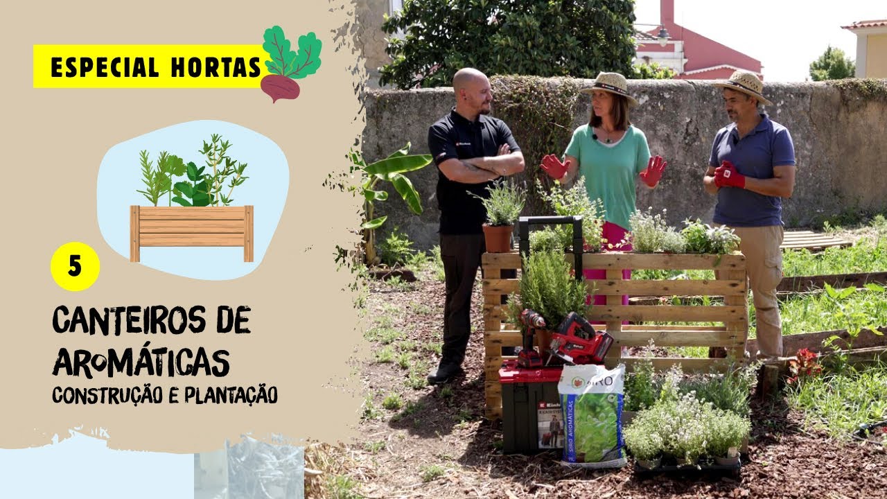 ESPECIAL Hortas: Canteiros de aromáticas