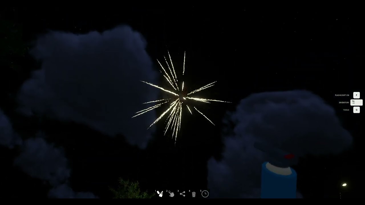 Enjoying Fireworks Mania