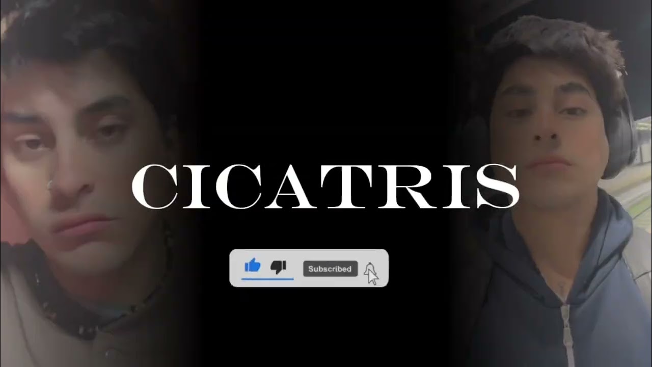 CAMPE - CICATRIS (visualizer)