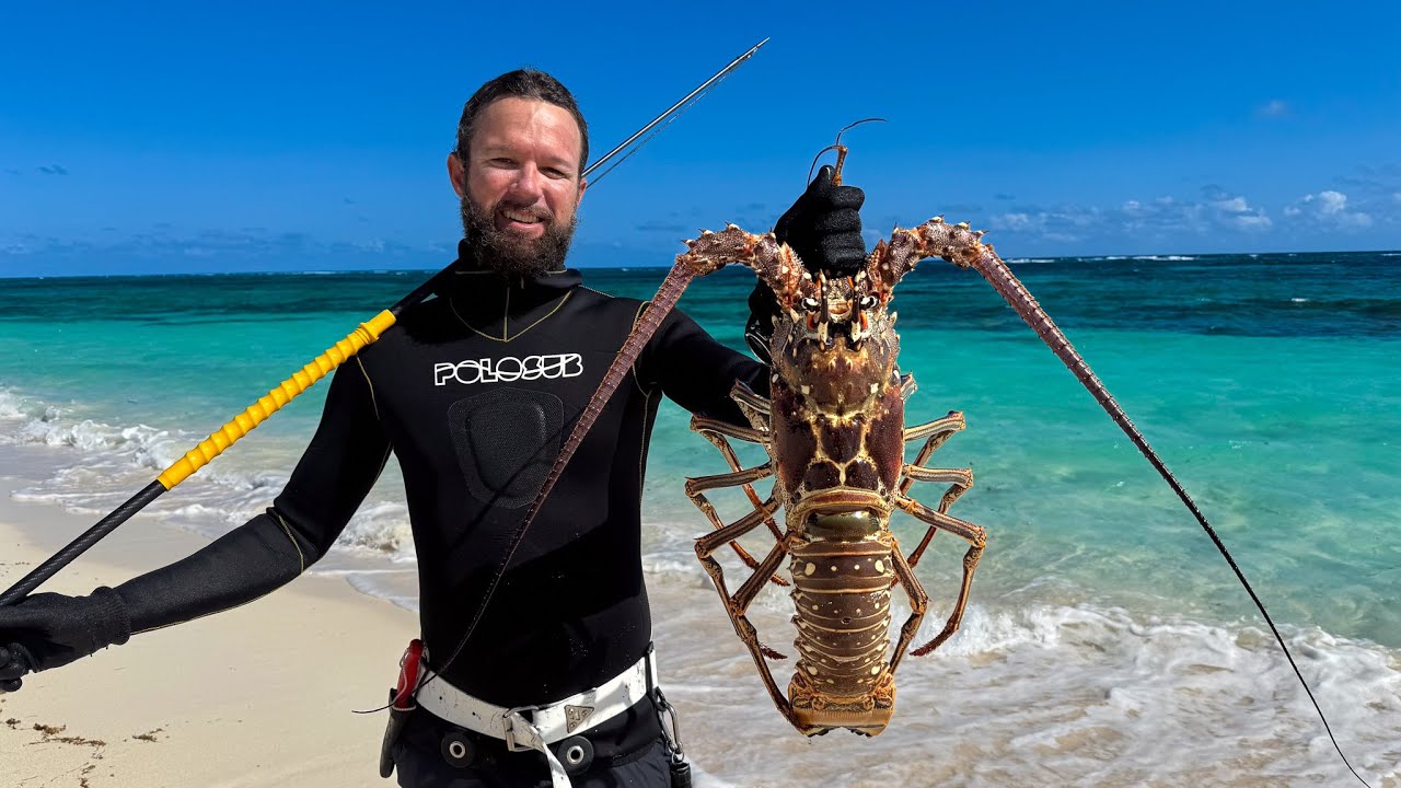 Shore Diving Bahamas | Spearing Giant Lobster