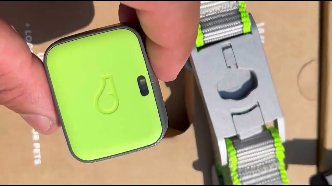 Whistle GO Explore GPS + Health + Fitness Dog Tracker Honest Review