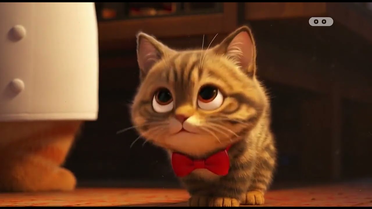 A Tabby Cat’s Cooking Journey 🐱🍳 | Tears, Training, and the Perfect Dish