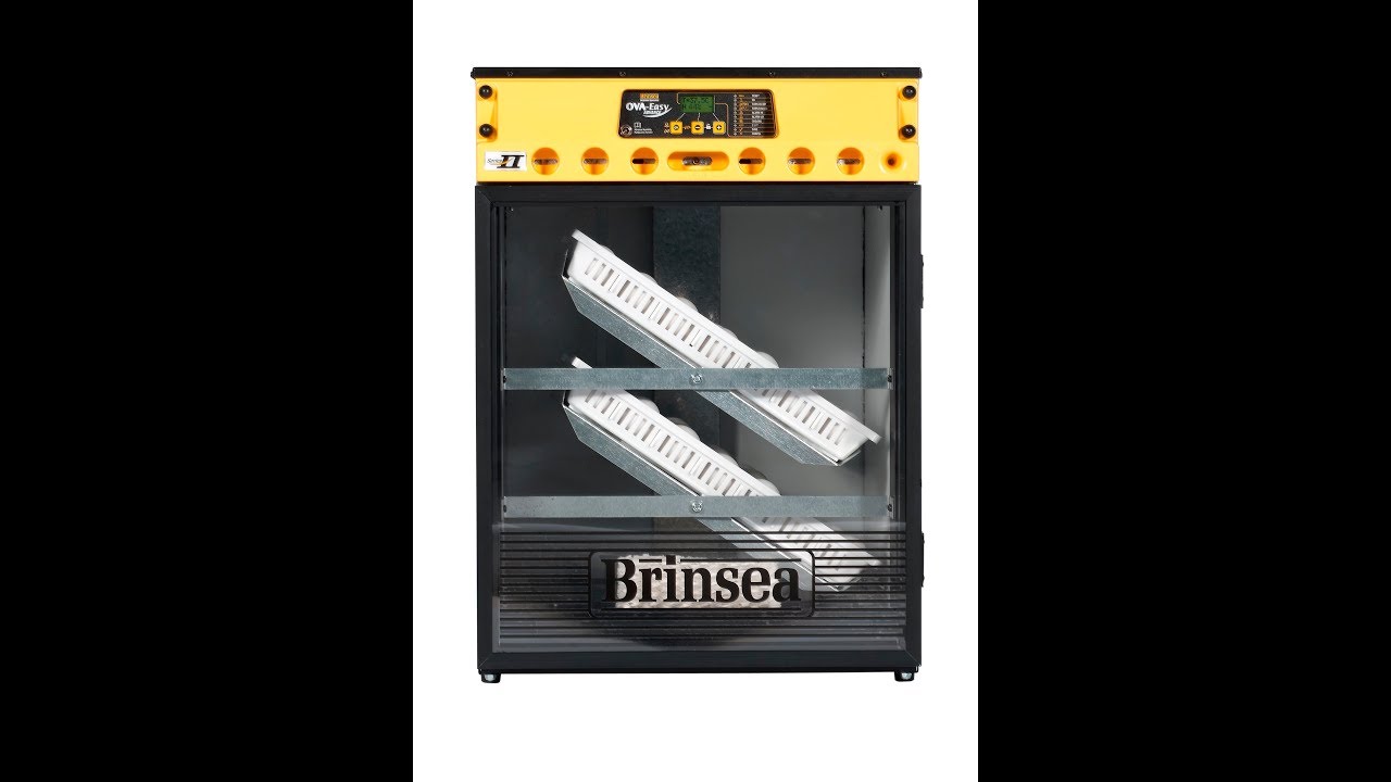 Brinsea OvaEasy100 Test