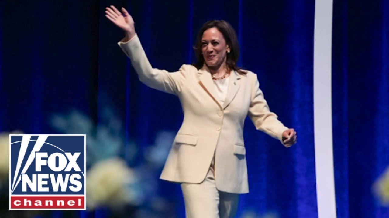 Kamala Harris has ‘a lot of vulnerabilities’: Karl Rove