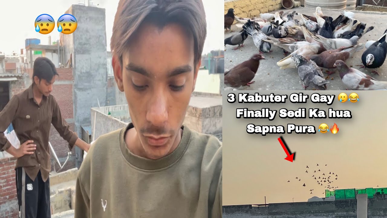 3 Kabuter Gir Gay Apne 😂🥲Sedi Ki Bani Eid 🌙 
