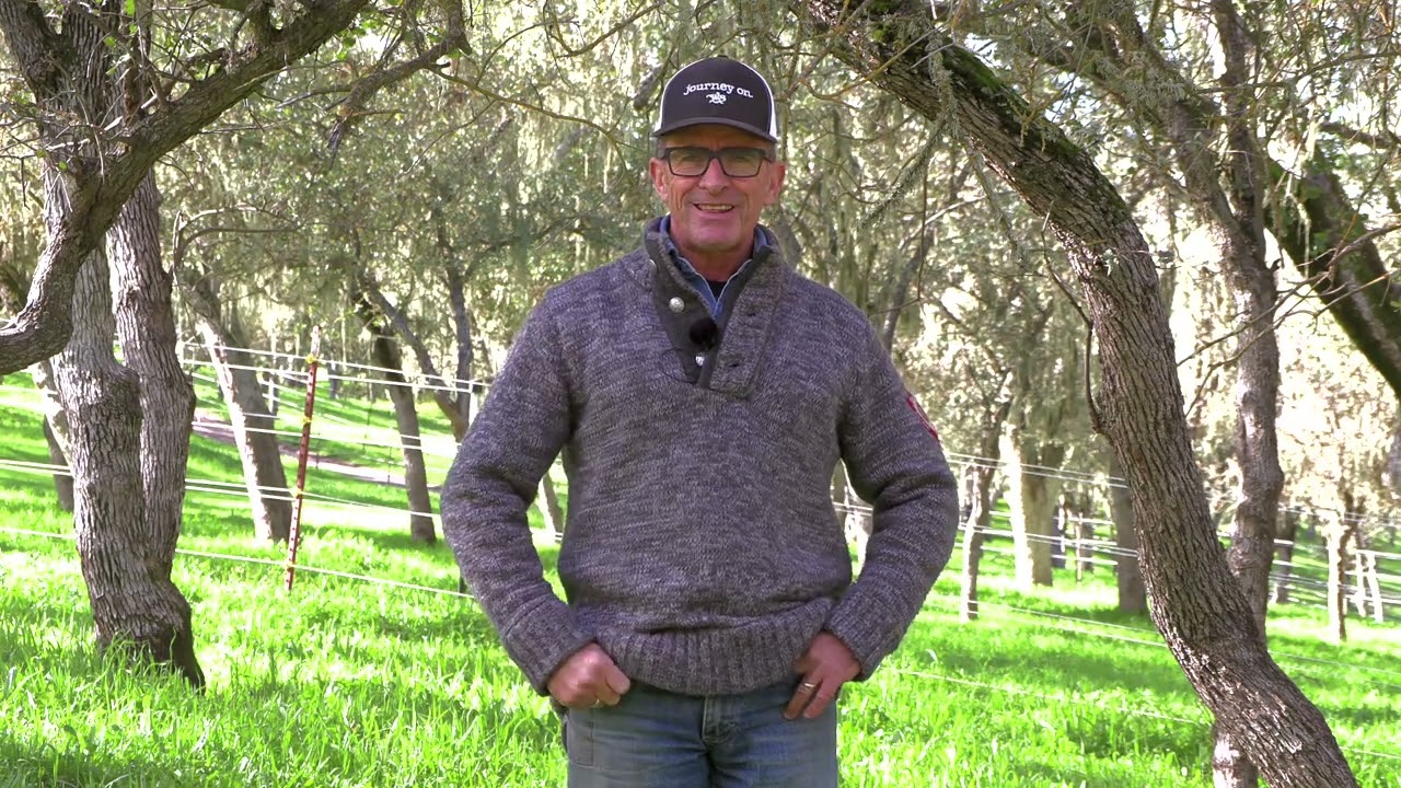Why it's important to get horses to respond to  to respond to your energy (at least for me)...