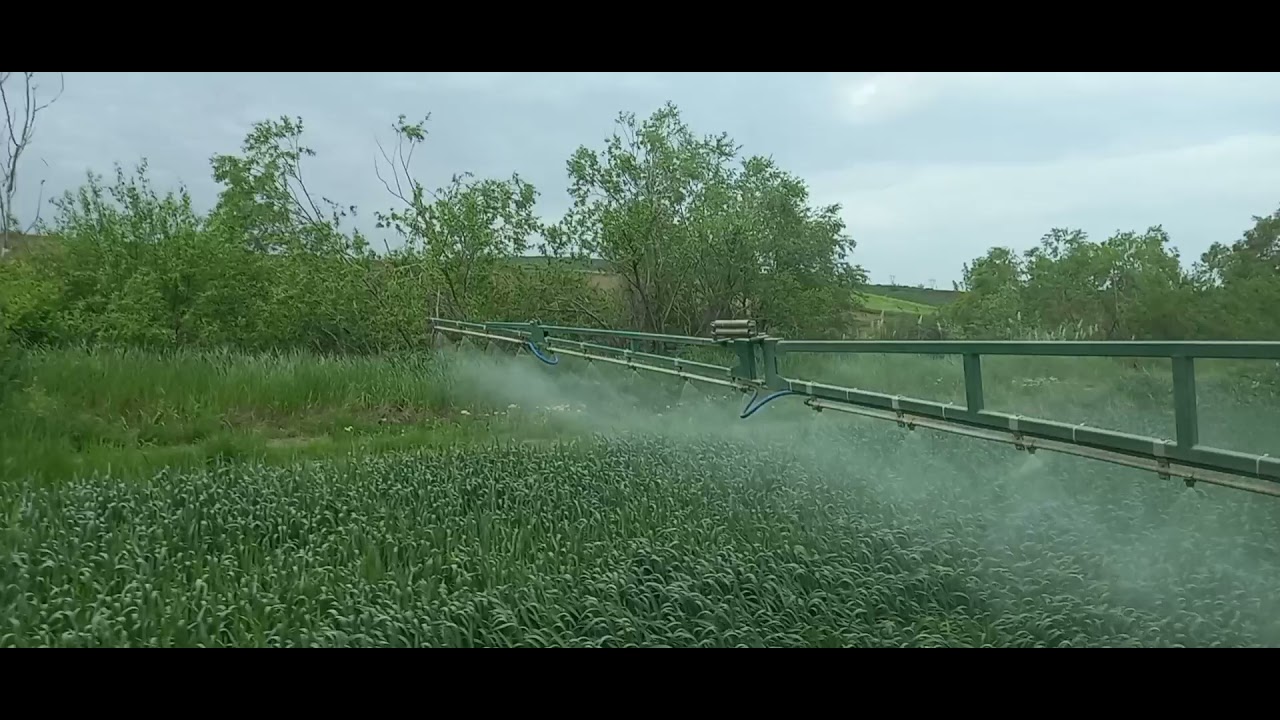 BUĞDAYDA PAS VE SÜNE ILE MÜCADELE İÇİN İLAÇLAMA UYGULAMASI. 100 Litre ilaç makinesi / Landini