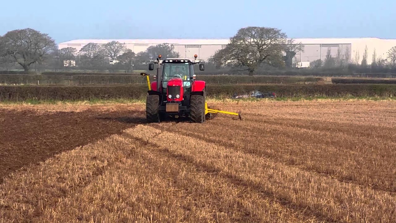 Drilling spring beans with the Claydon.