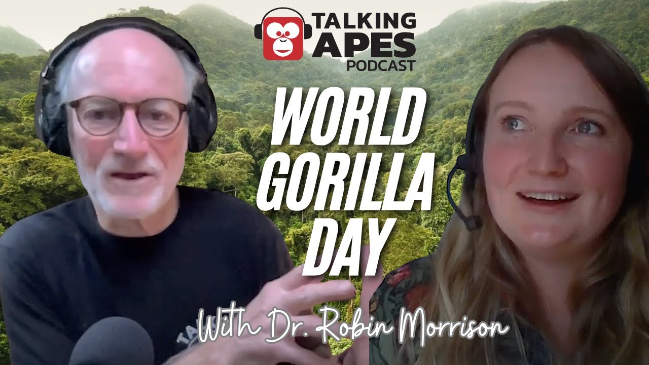 Inside the Society of Gorillas: World Gorilla Day 2025 with Dr. Robin Morrison