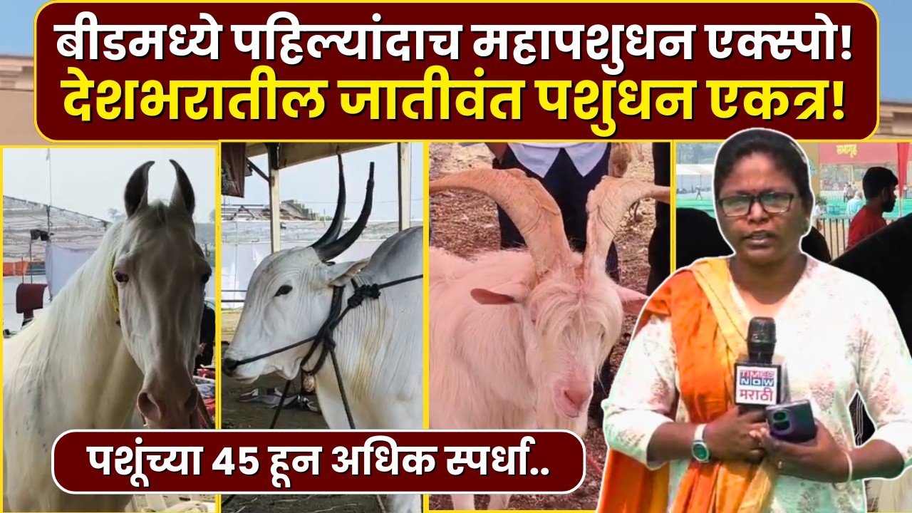 Beed News : बीड जिल्ह्यात पहिल्यांदाच  राष्ट्रीय पातळीवरचे महापशुधन एक्स्पो..| Marathi News
