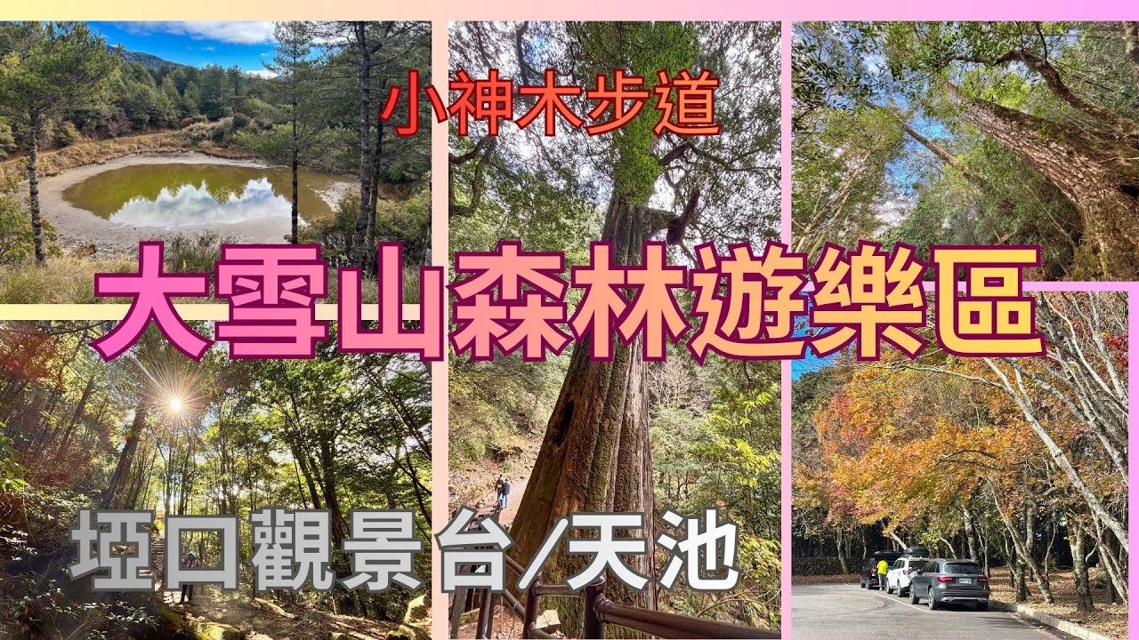20260124~25萬ㄟeye 台灣～大雪山啞口小神木步道與天池   4K