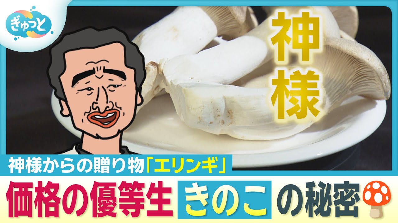 「もう神様」エリンギ人気の立役者はあの国民的アーティスト【ぎゅっと】（2025年10月15日OA）