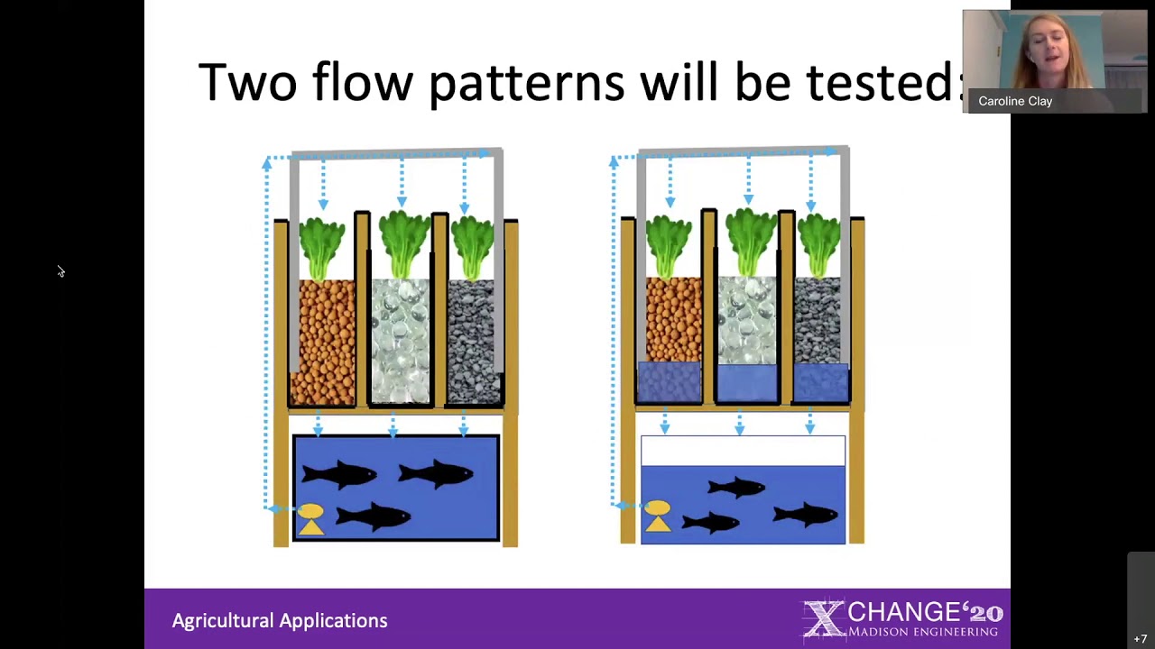 Agricultural Applications: Building An Experimental Aquaponics System