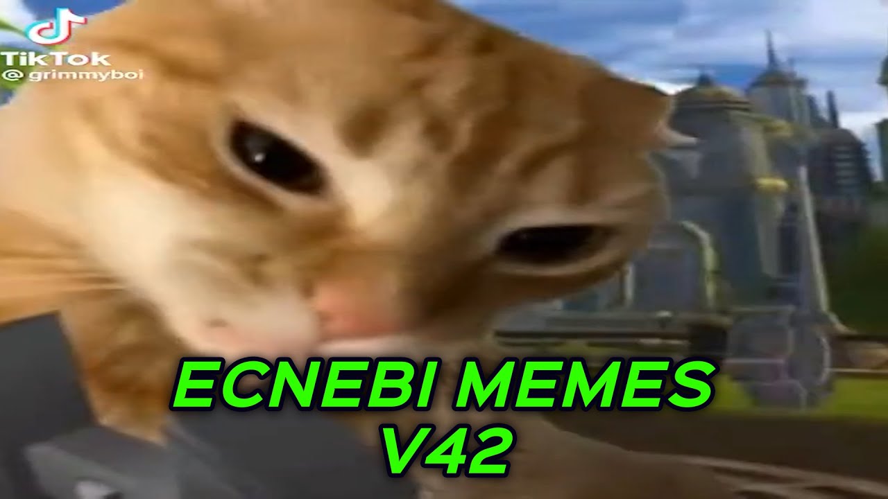ECNEBI MEMES V42