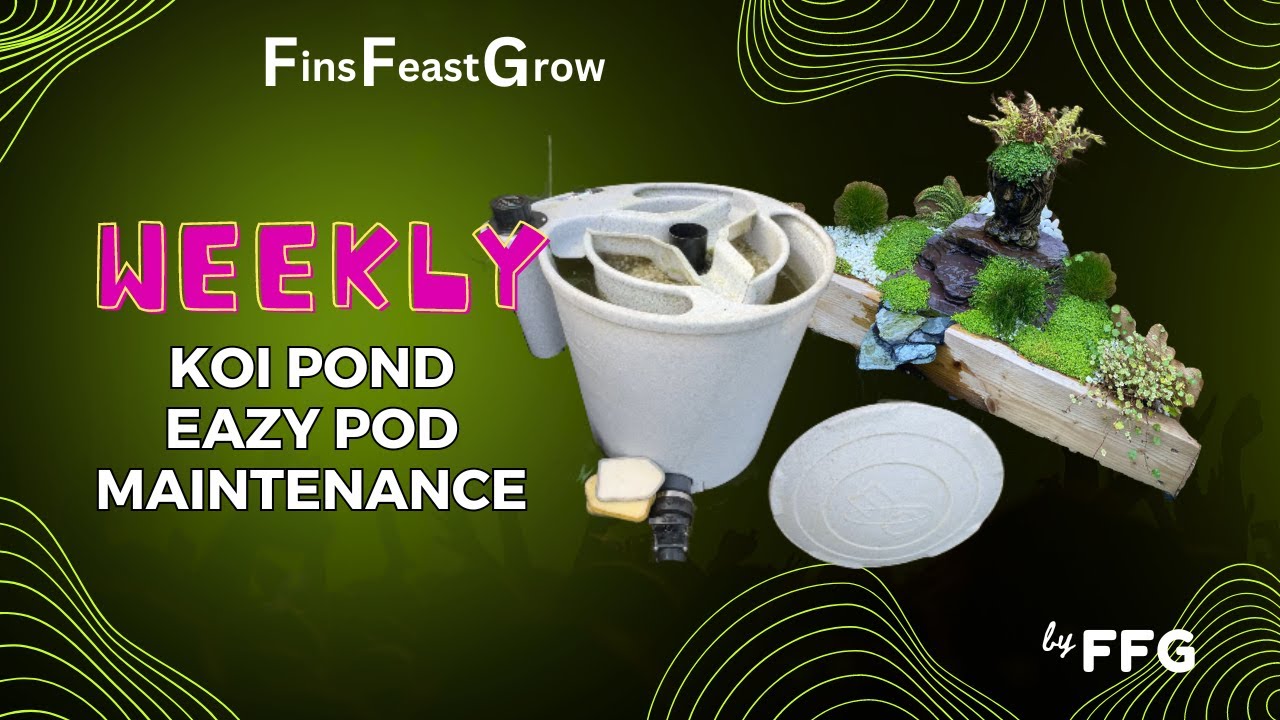 Doing weekly maintenance to my Koi pond and EazyPod in the winter/spring months!