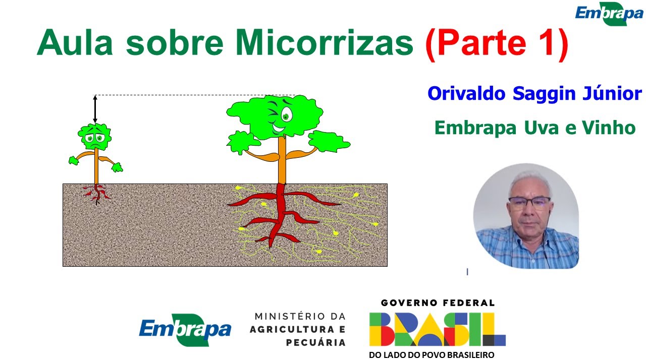 Aula Sobre Micorrizas - Orivaldo Saggin - Parte 1