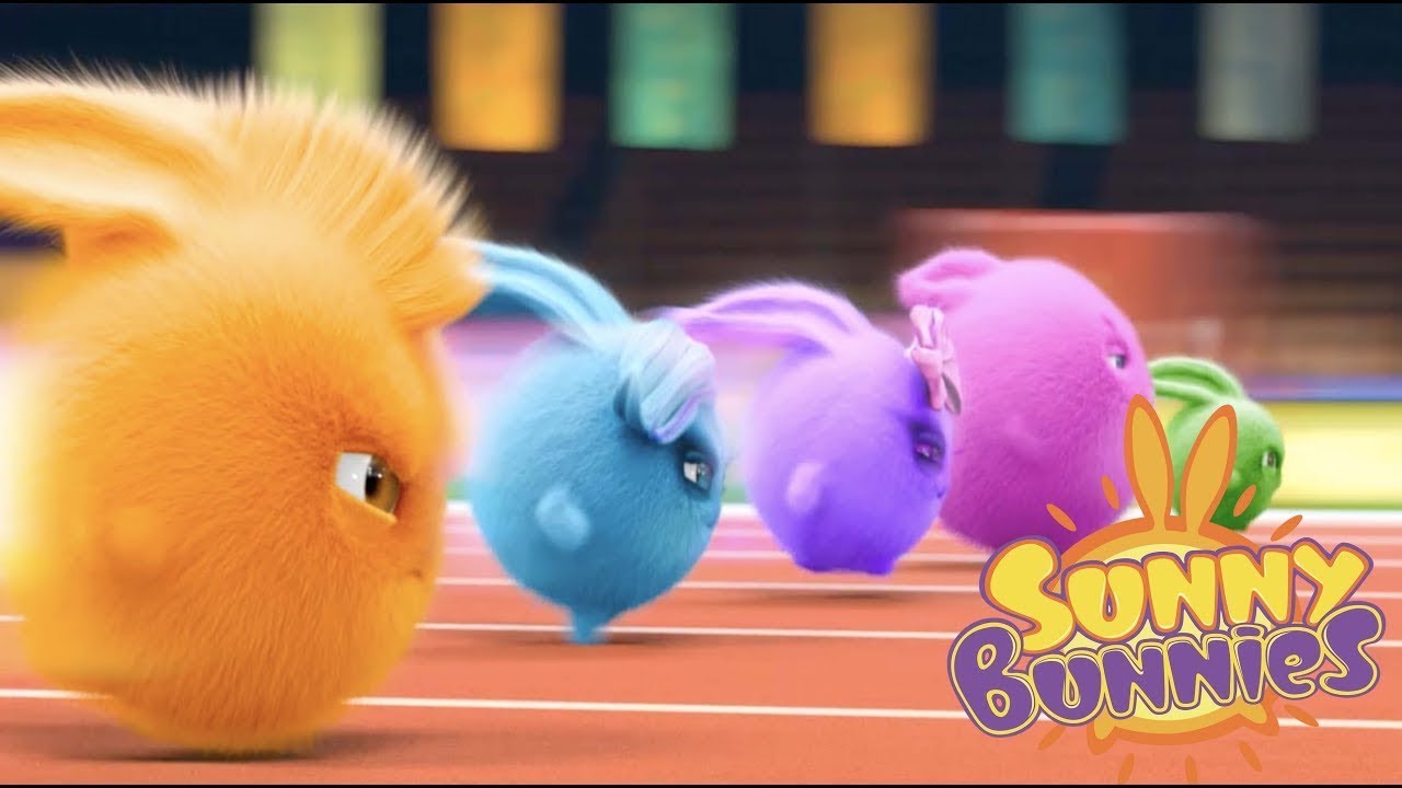 Sunny Bunnies | A corrida | Desenhos animados | WildBrain em Português