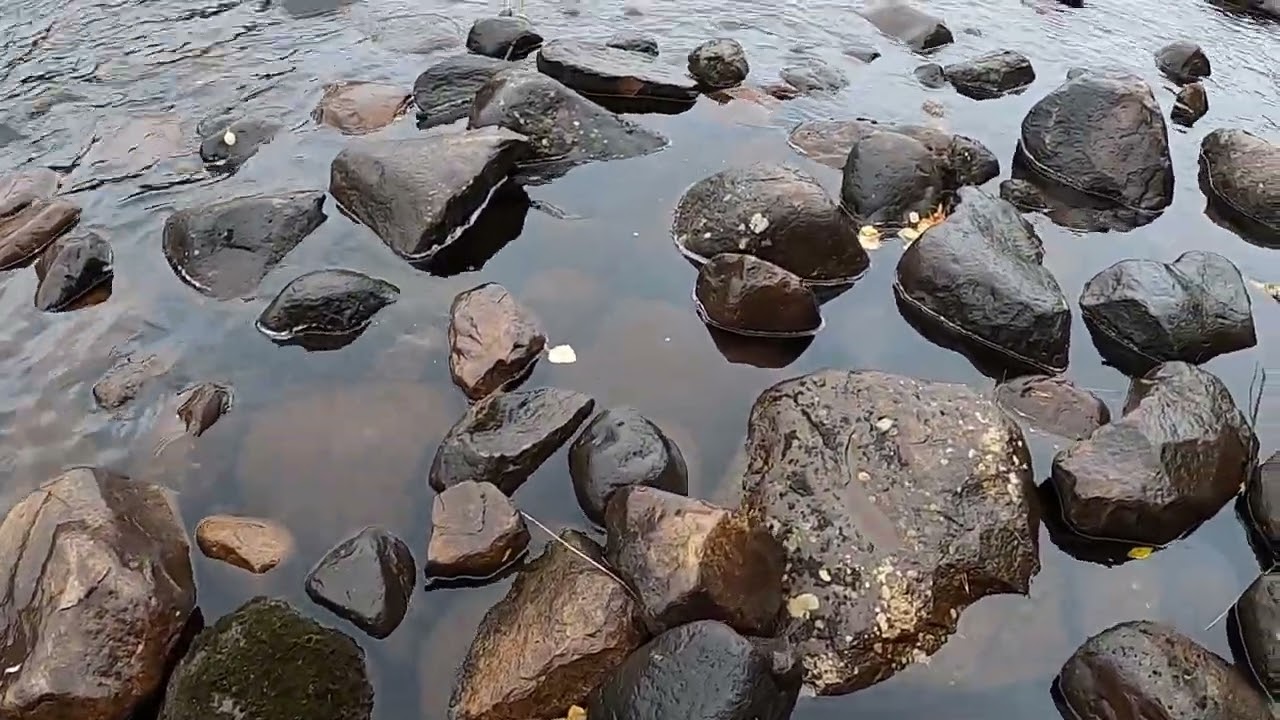 Linaälven fiskeparadiset i Dokkas !