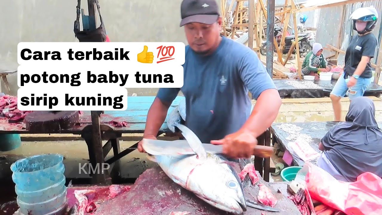 Cara terbaik 👍💯 potong baby tuna sirip kuning