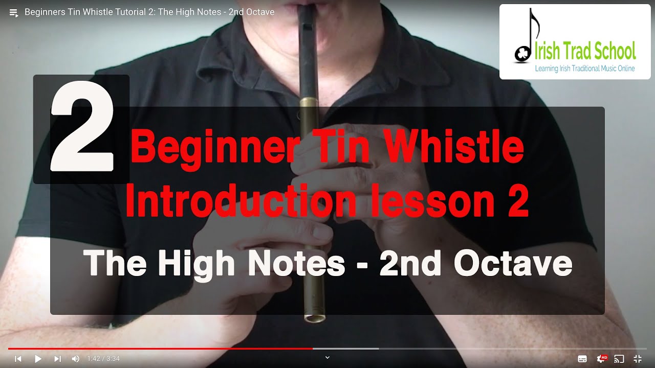 Beginners Tin Whistle Tutorial 2: The High Notes - 2nd Octave
