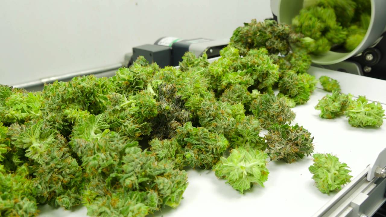 Twister T4 / Wet -- Running two units in tandem