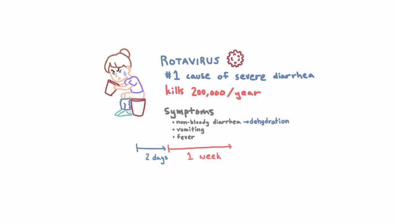 Rotawirusy &ndash; epidemiologia, objawy kliniczne i profilaktyka