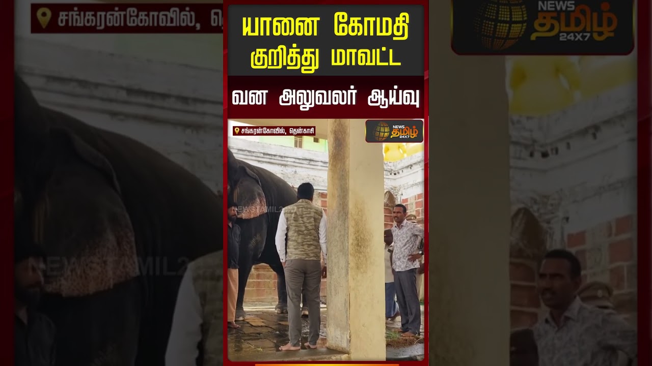 Tenkasi | Gomathi Elephant | Sankarankovil Temple | யானை கோமதி குறித்து மாவட்ட வன அலுவலர் ஆய்வு