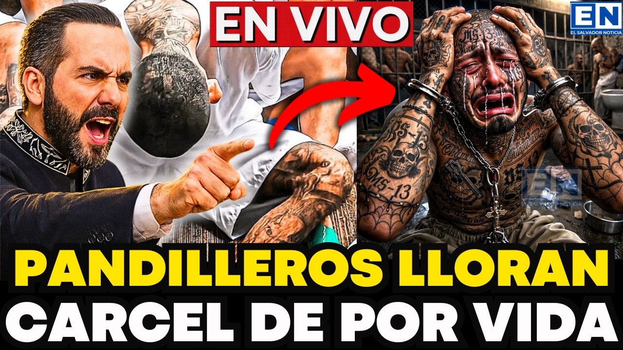 PANDILLEROS LLORAN POR NUEVA LEY BUKELE TOMA EL CONTROL CON EL EJÉRCITO NADIE LO ESPERABA