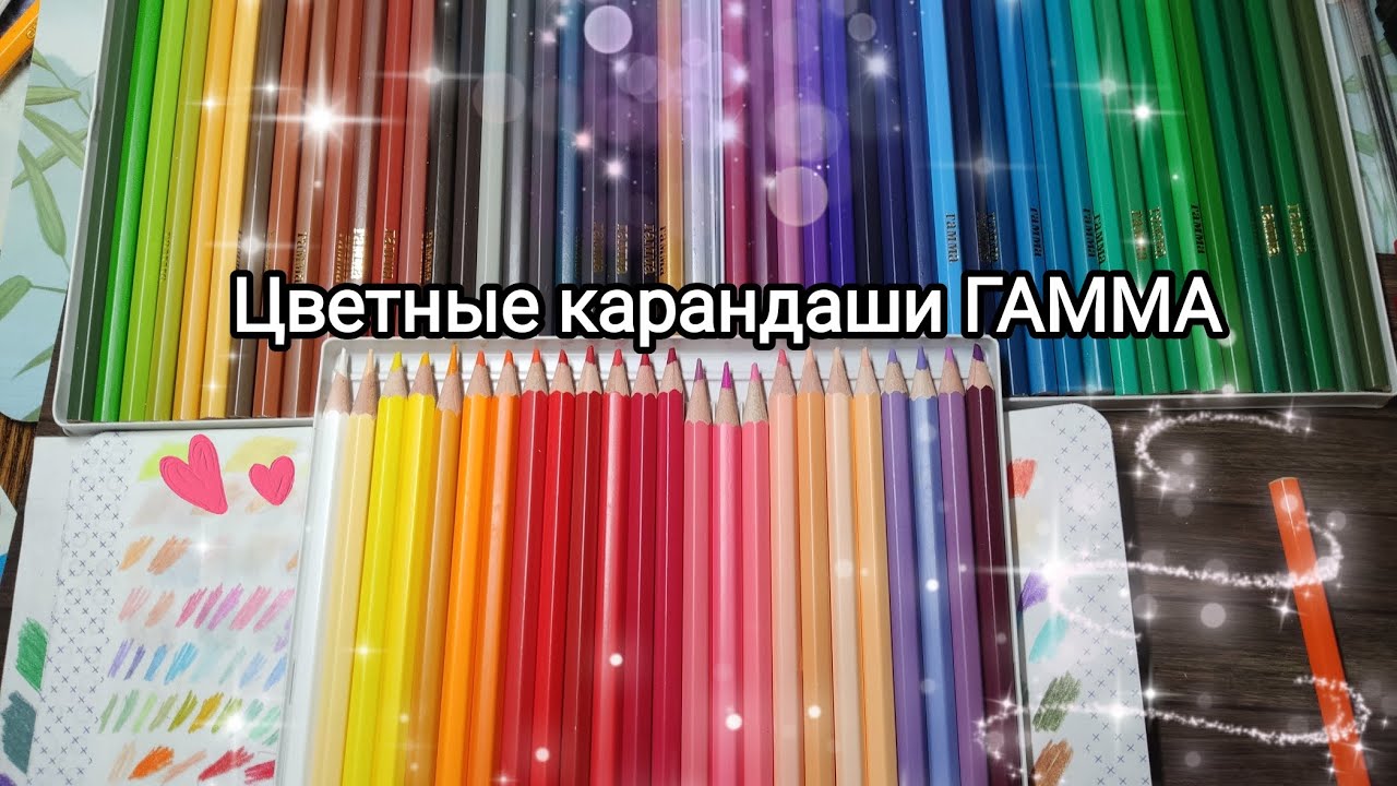 Обзор новых цветных карандашей ГАММА!🖍️🌿 БЮДЖЕТНОЕ КАЧЕСТВО?🤔