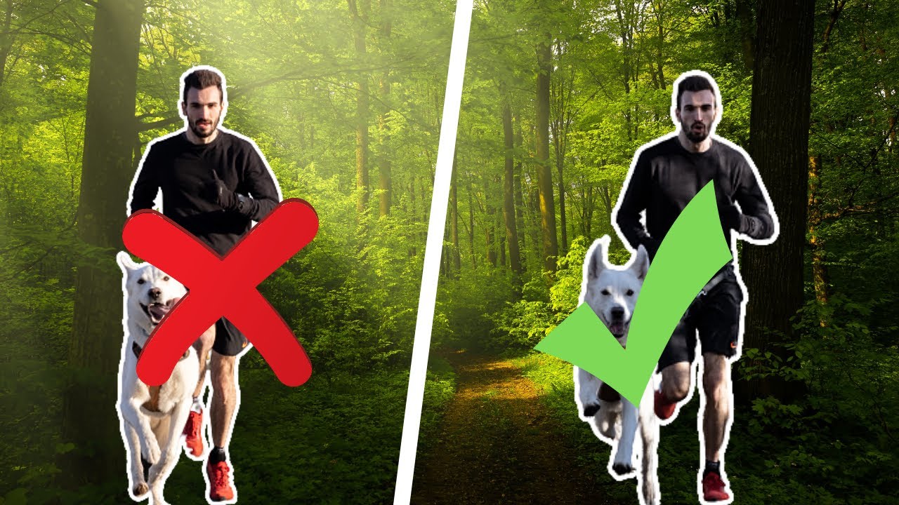 10 ERREURS EN CANICROSS (à ne surtout pas commettre)