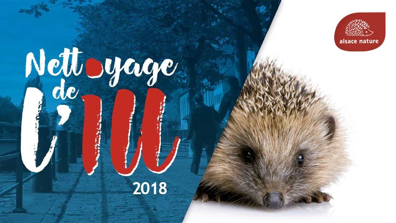 Nettoyage de l'Ill 2018 - 2e Edition